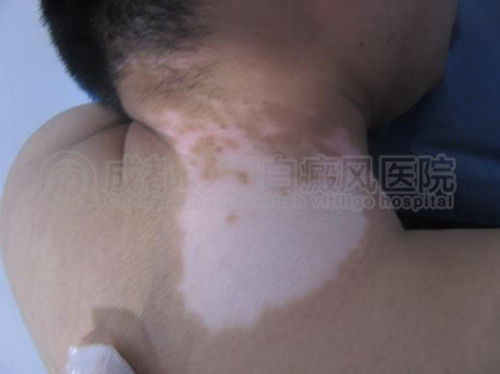 图片30_副本.jpg